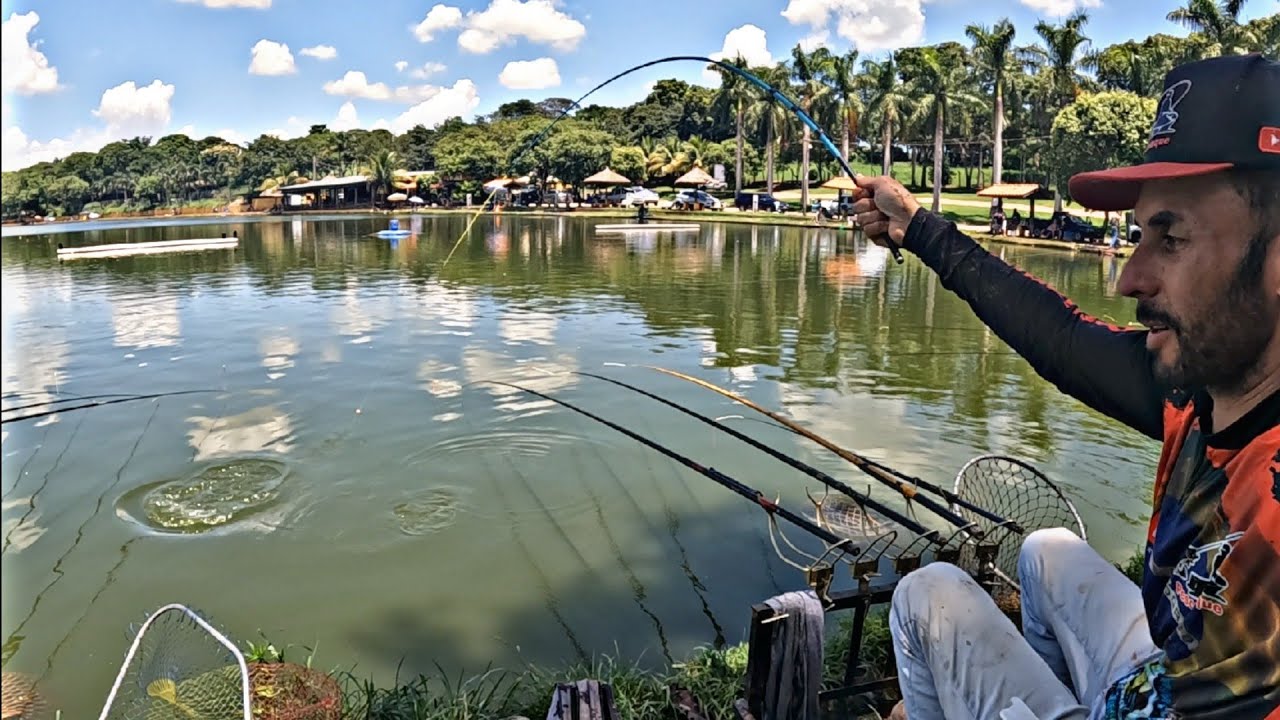 ESSA VARINHA CURTA AGUENTOU TIRAR A GIGANTE, PESCARIA DE TILÁPIA NA DIÁRIA !!