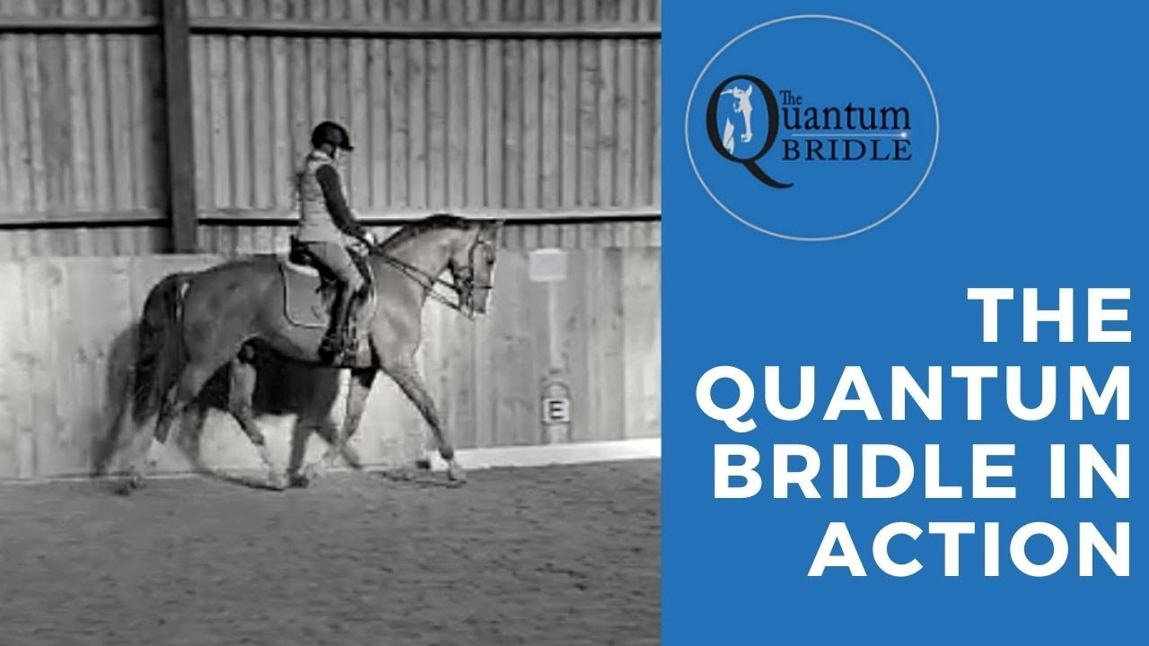 The Quantum Bridle in action - Kim and Christopher