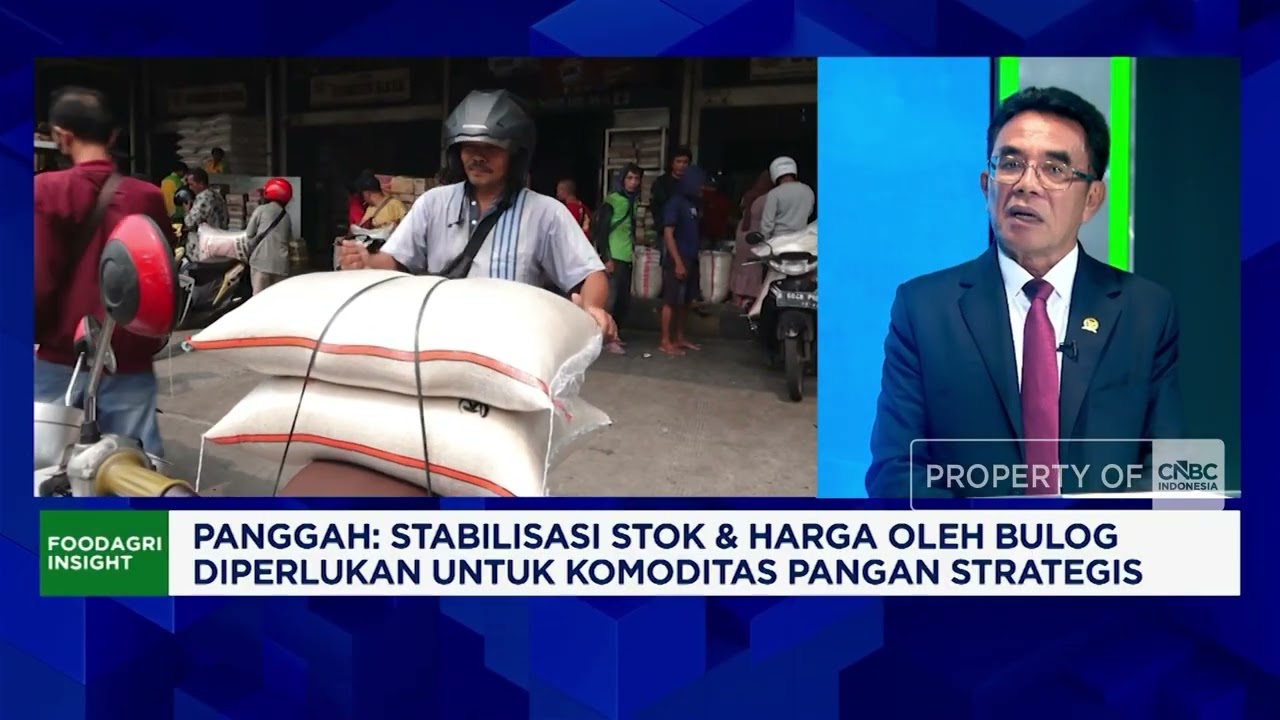 DPR Buka-Bukaan ‘PR Besar’ Swasembada Pangan RI