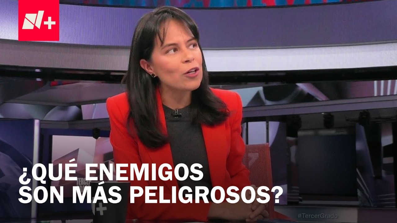 Para Viridiana Ríos, en Este Momento Estados Unidos Es Más Peligroso Que México