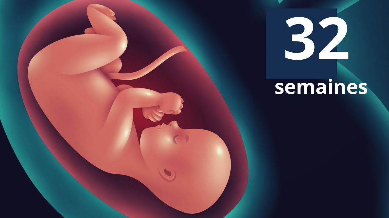 32 semaines de grossesse - Découvrez ce que fait bébé à 32 semaines de grossesse ?