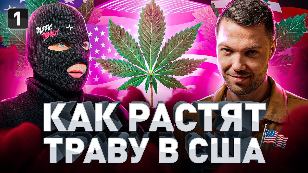 ⚠️ ГРОВЕР ИЗ ШТАТОВ: КАК РАСТЯТ ТРАВУ В США И ЛЕГКАЯ ЛИ ЭТО РАБОТА?!