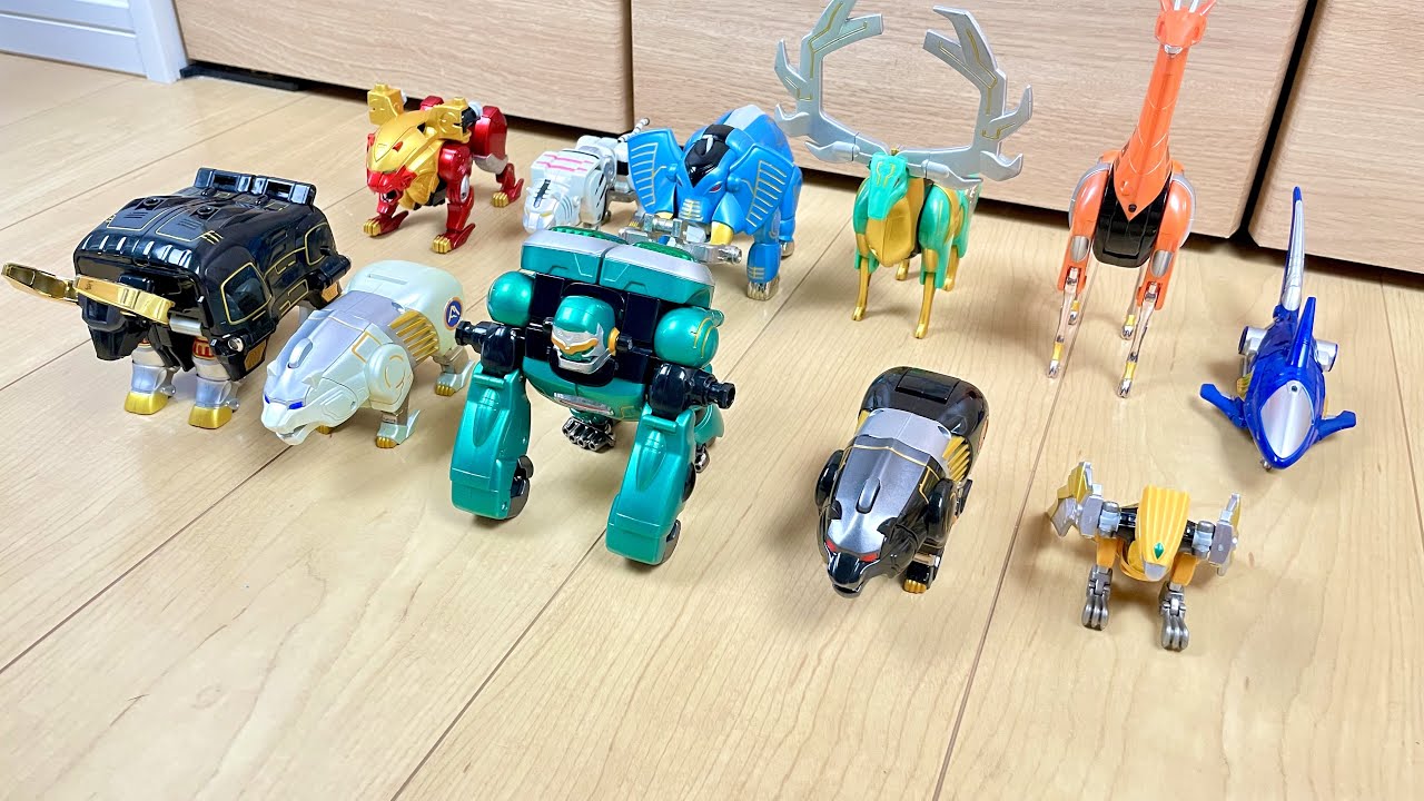 【PowerRangers WildForce #2】🦍🐼🐻🦅🐃サイドチェスト⁉︎ガオレンジャーのガオマッスルであそんでみた