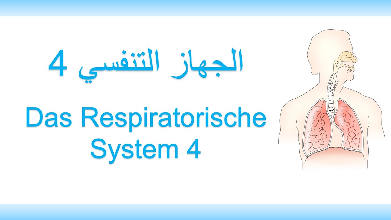 29_اللغة الألمانية الطبية - الجهاز التنفسي 4 | Medizinische Fachsprache - Respiratorisches System 4