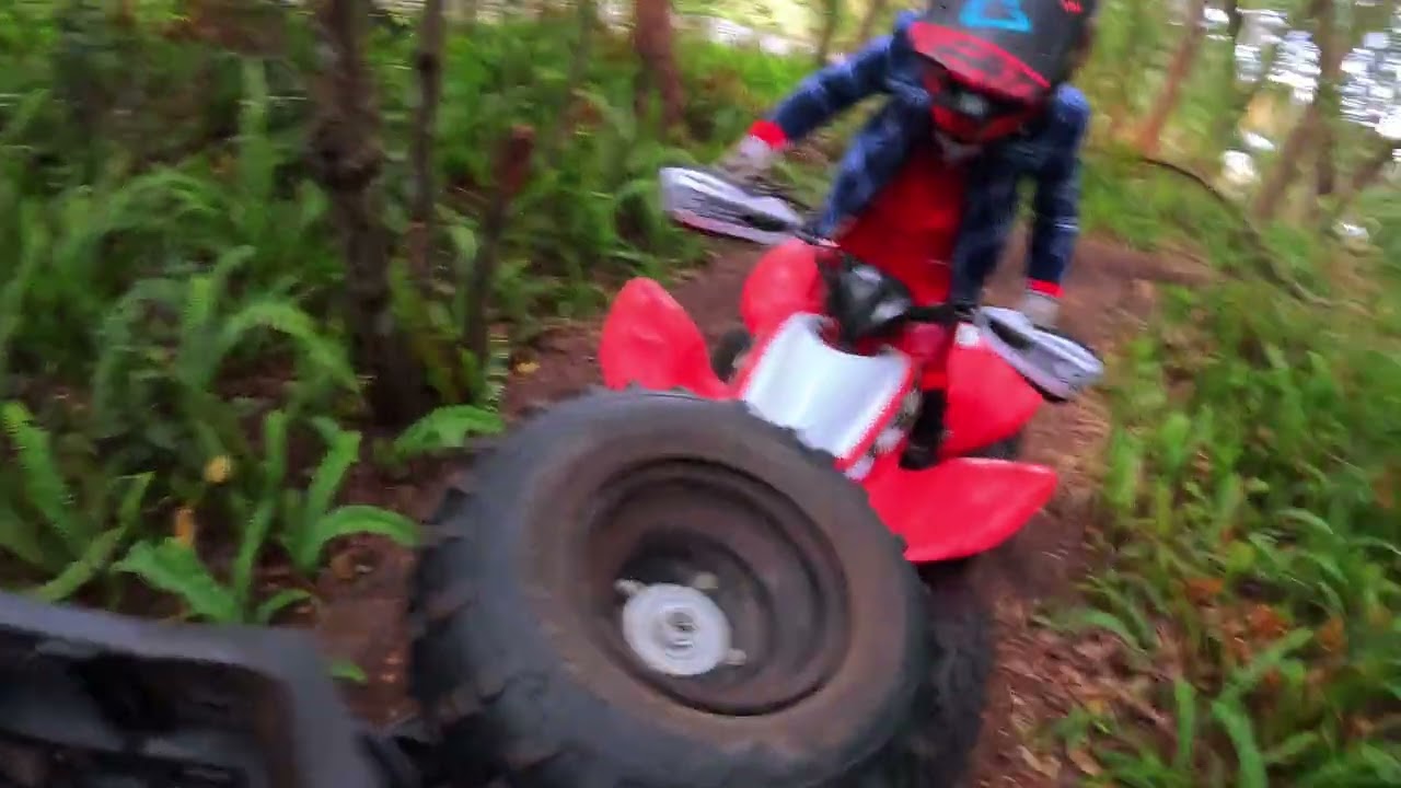 Woods Patch (crash!!💥)- Ali POV