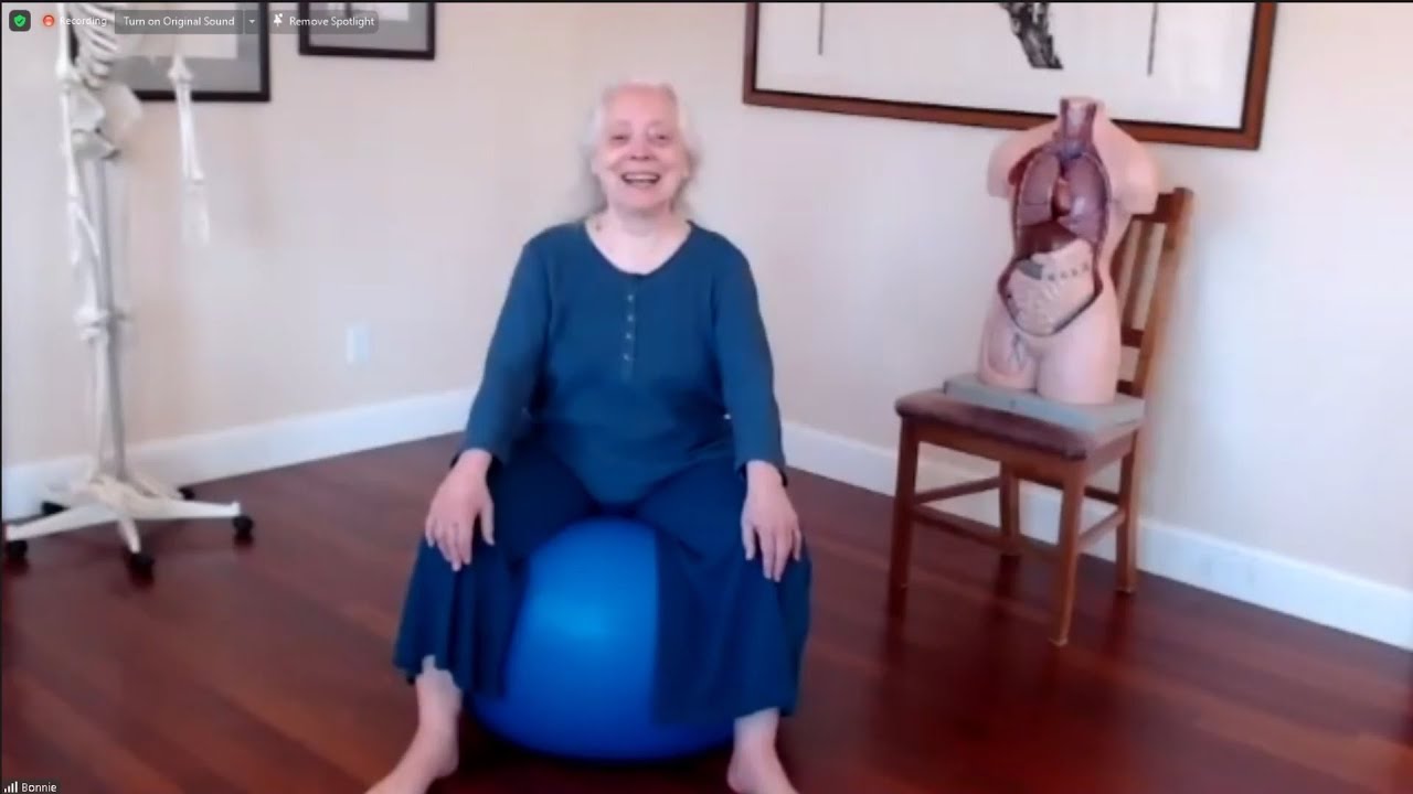 Releasing Patterns of Stress and Uncovering Patterns of Ease: A Body-Mind Centering&reg; Approach