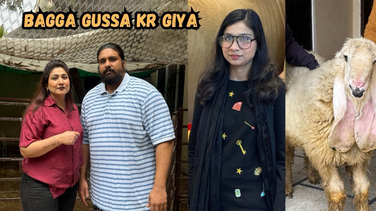 Bagga gussa kr giya | Mr Bhalo | @NehaMughal7 