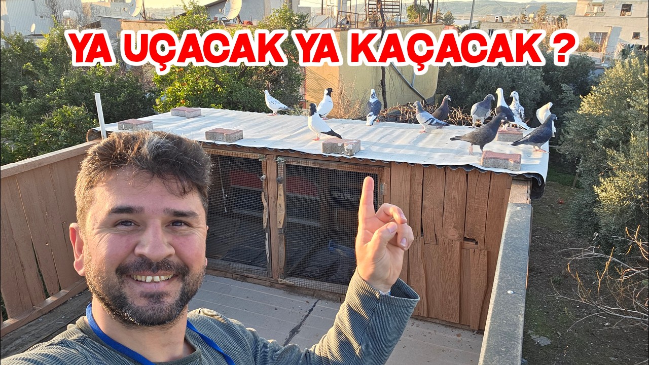 Güvercin Kaçırmak İçin Harika Bir Havaydı 