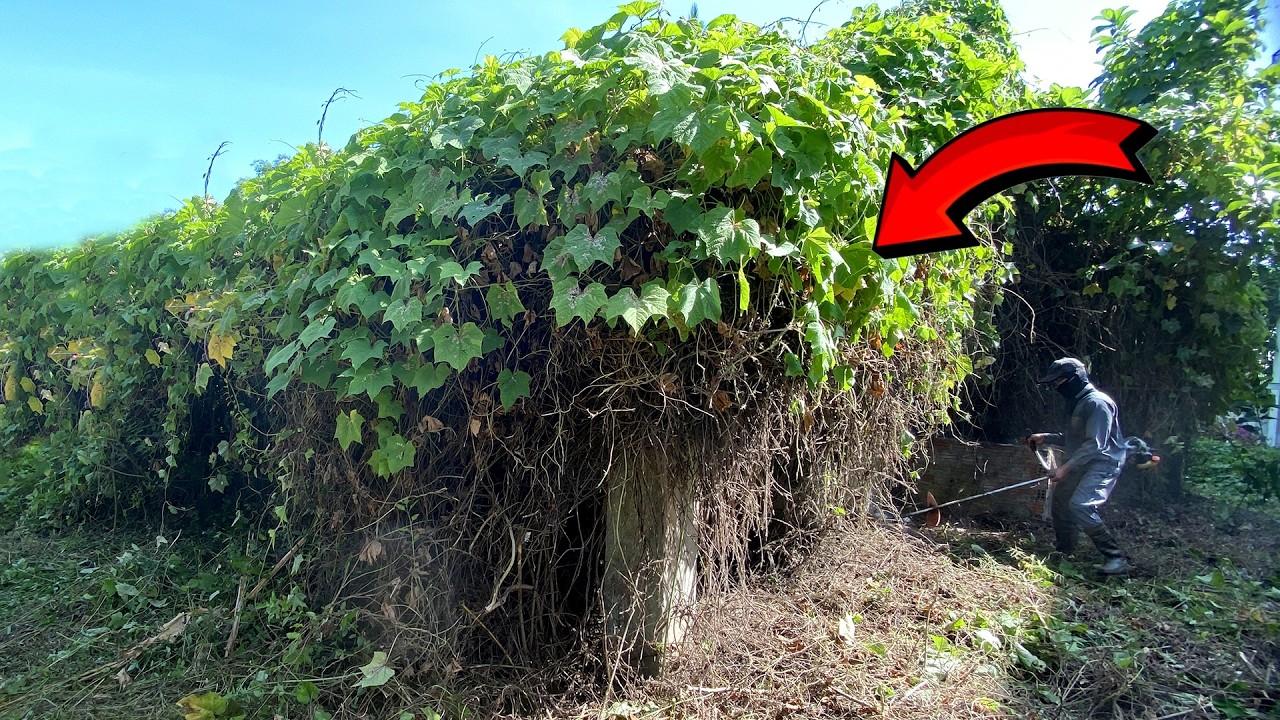 The Terrifying mystery INSIDE a house Abandoned for 50 years. The RESULT will ASTOUND everyone.