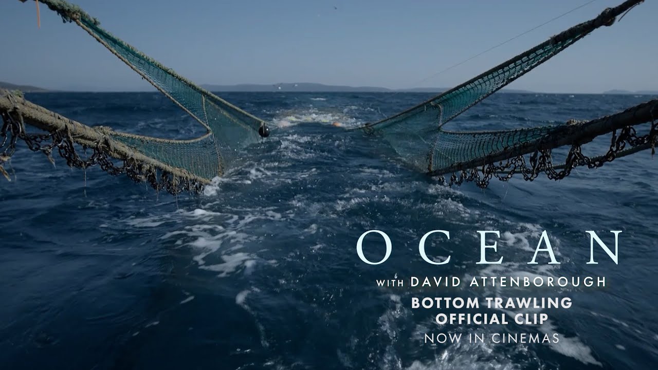 OCEAN with David Attenborough | 'Bottom Trawling'  Official Clip