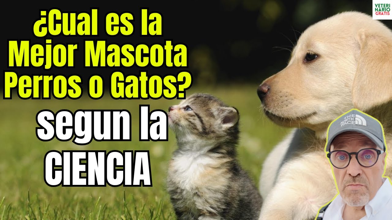 🐶🐱 PERROS O GATOS 🐶🐱¿CUAL ES LA MEJOR MASCOTA SEGUN LA CIENCIA?
