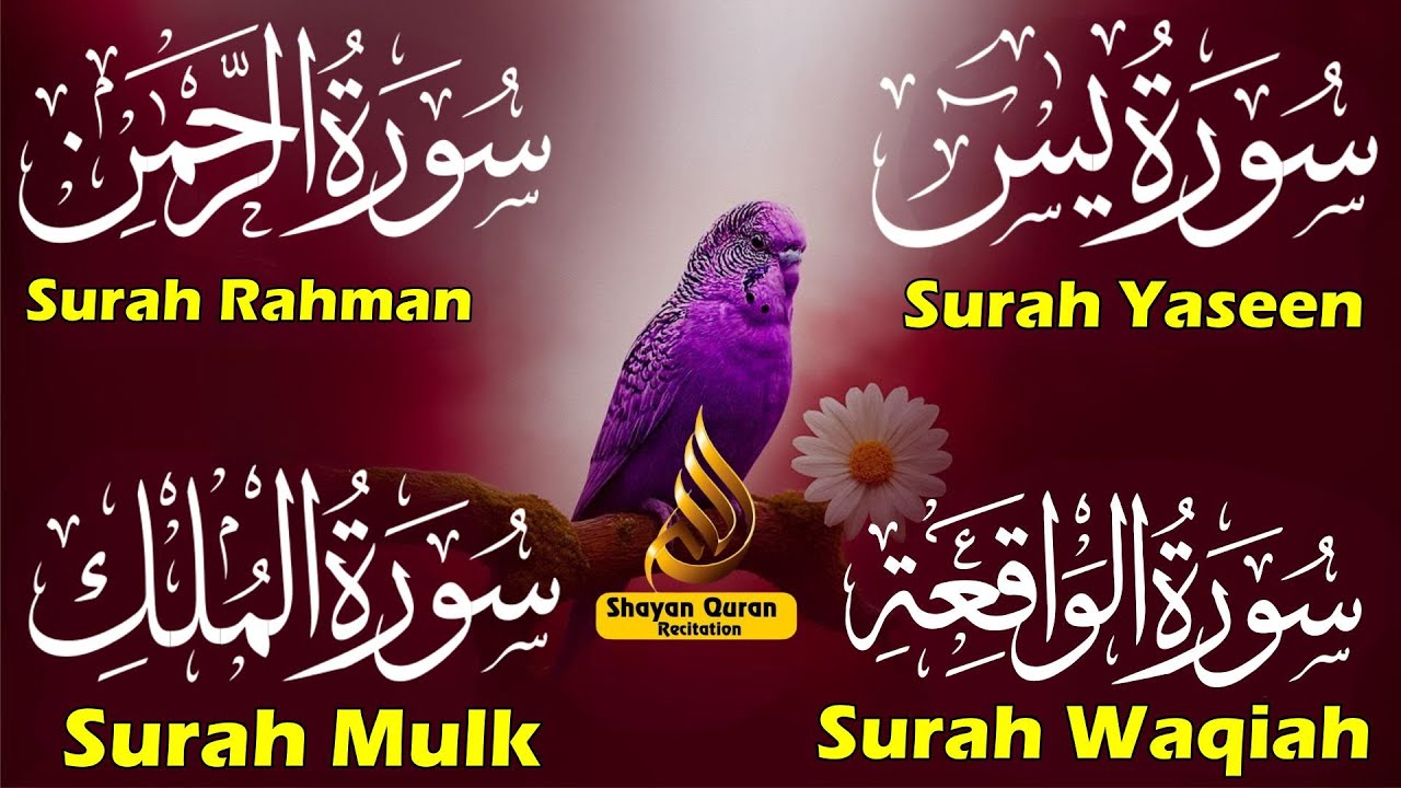 Surah Yaseen Surah Rahman Surah Al Waqia, Al mulk Soothing Quran recitation | murottal alquran merdu