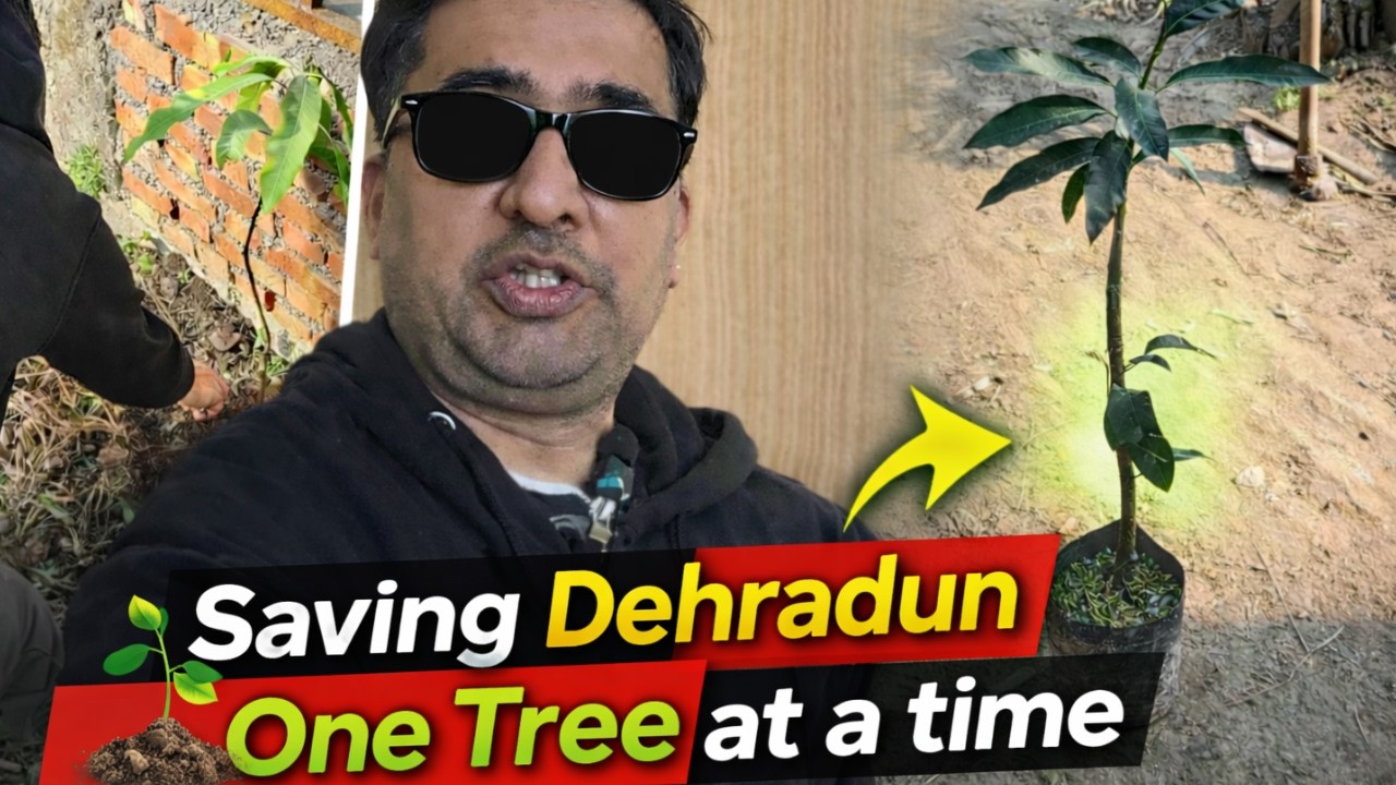 “Started My Own Mini Forest!”#dehradun #vloglife #vlogger#tree,#mangotree,