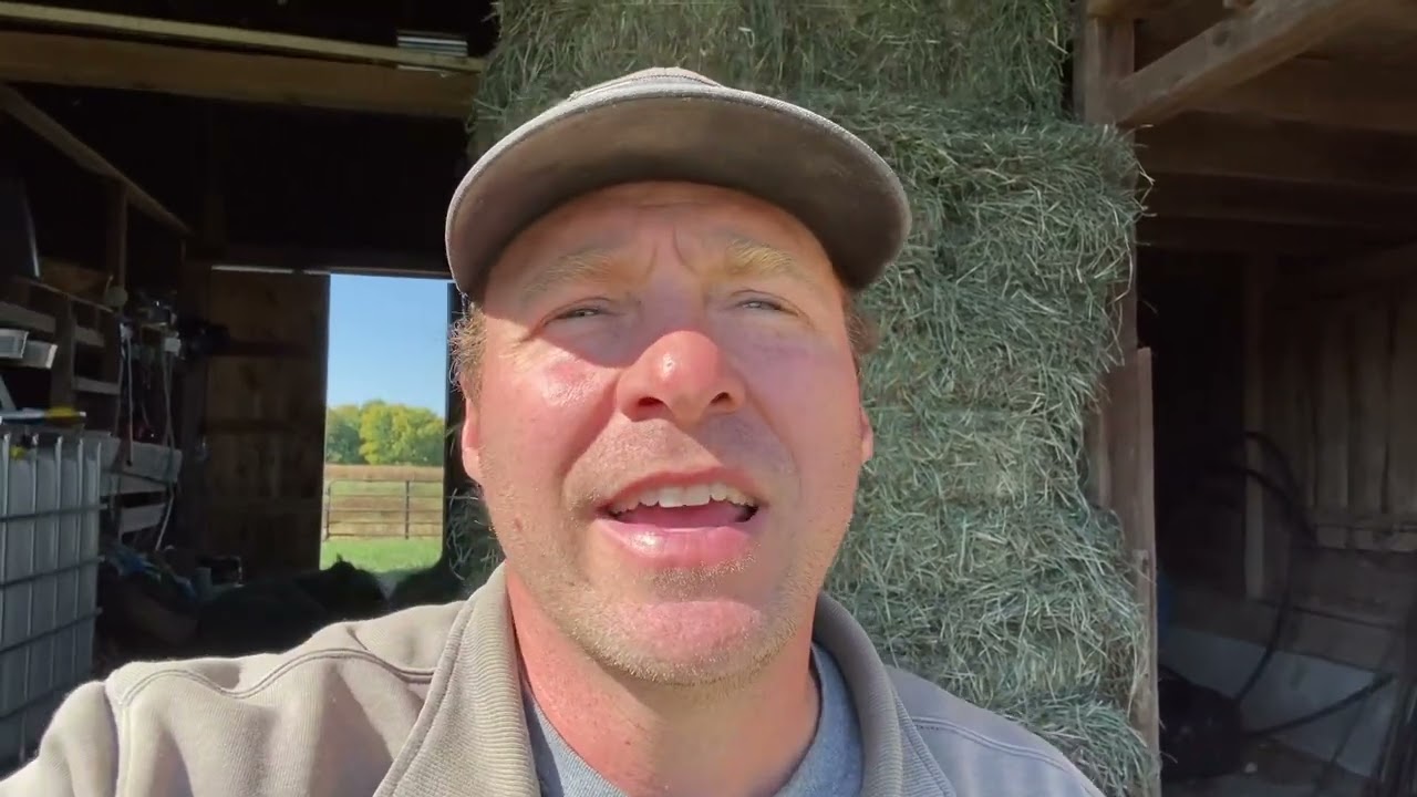 &ldquo;&hellip;Such A Hard Thing to Do As A Beginning Grazier&rdquo;