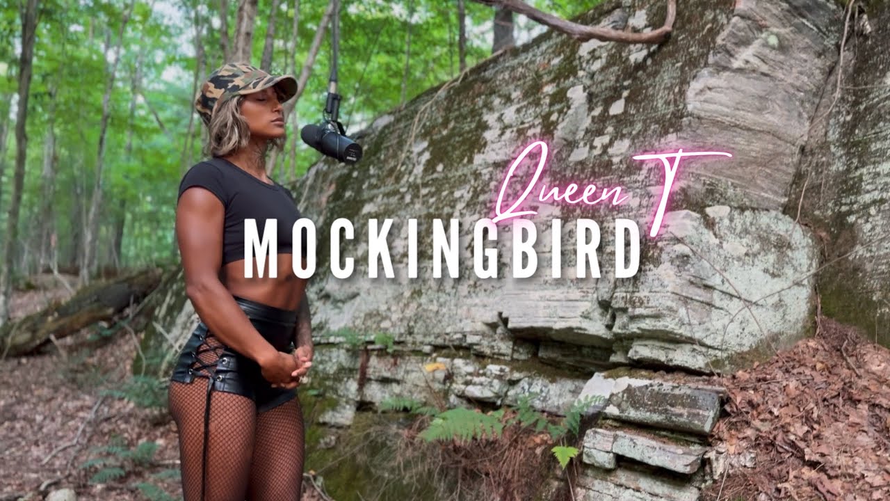 Eminem Mockingbird - Talise Harris (Remix)