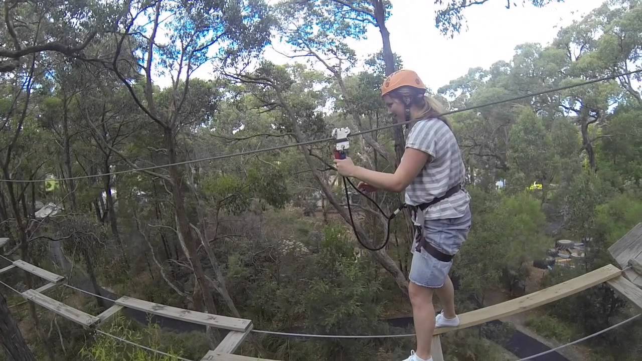 Tree Surfing