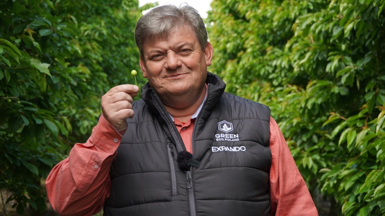 W sadzie czereśniowym... Zbigniew Marek 22.05.2025