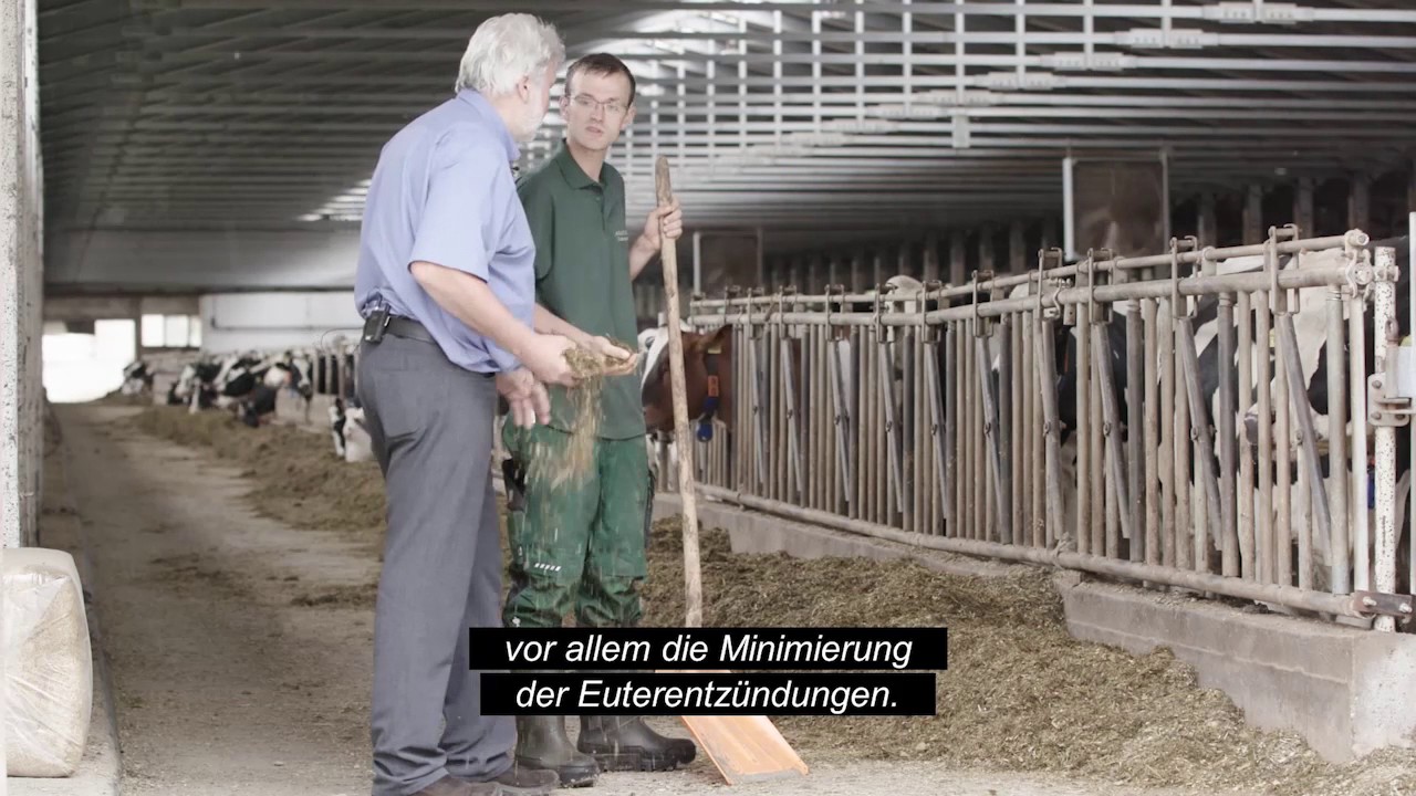DeLaval AMR&trade; automatisches Melkkarussell mit DelPro&trade; Farm Manager - Bauernland AG
