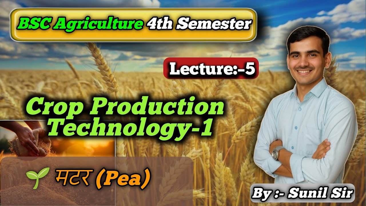 Pea (Matar) Crop Production Technology-1 / Complete Agronomy Notes / BSc Agriculture #pea