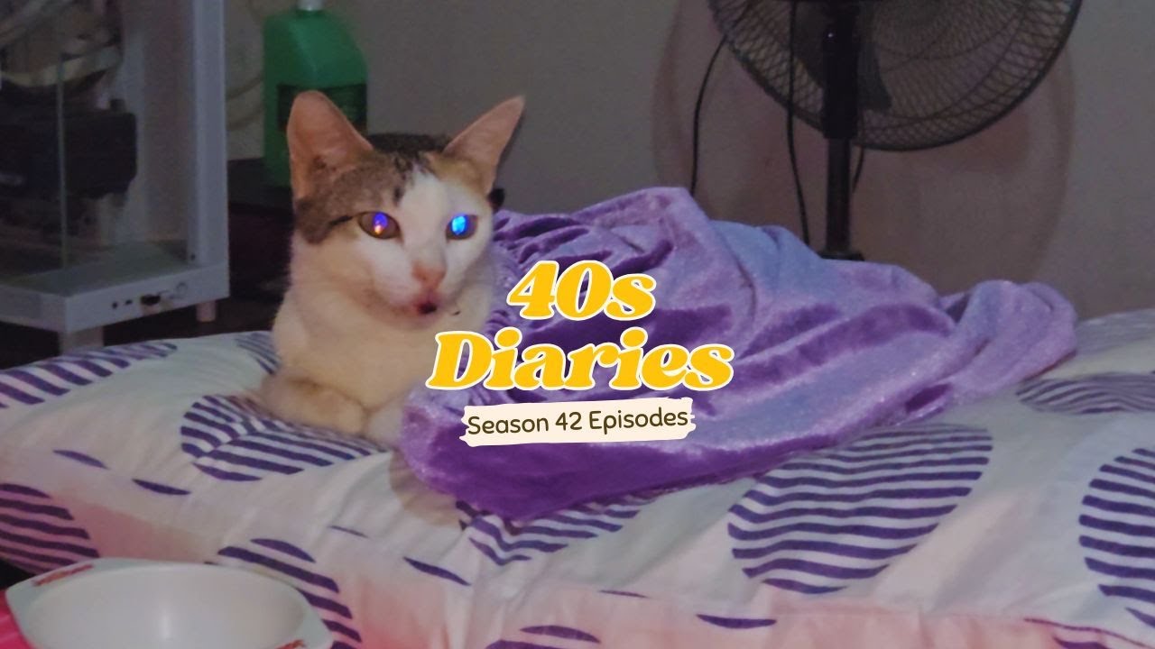 40s Diaries ☺ Season 42 Episode 37 - Our, Fur Baby, Peanut is Sick