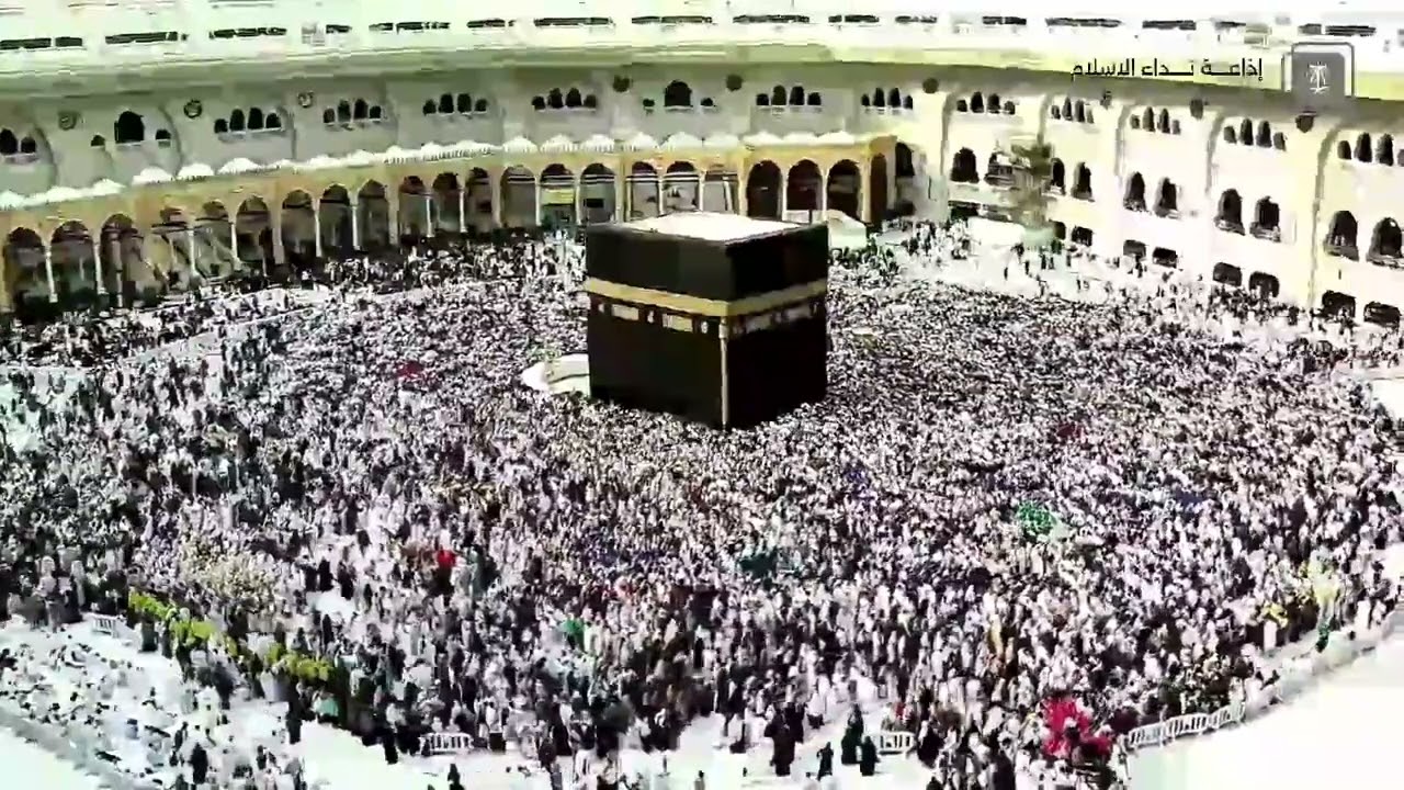 تغطيات ( سمو أمیر منطقة عسیر یطلق النسخة الرابعة من مبادرة  أجاوید )
