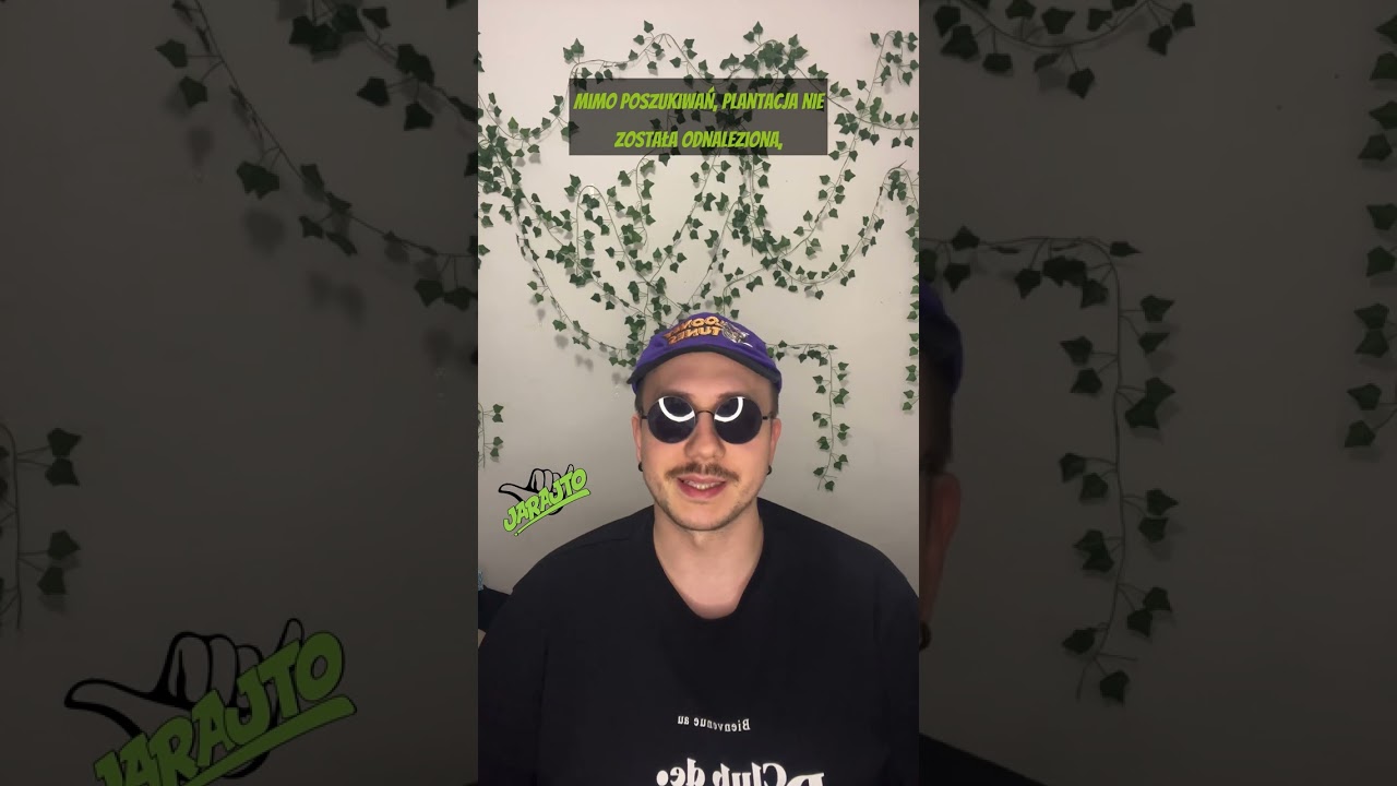 Co to 420? Skąd się wziął symbol 420?!