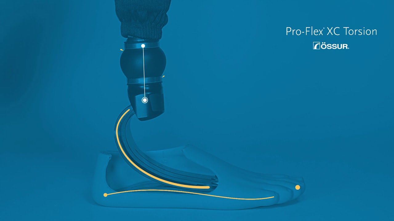 ProFlex XC Torsion - Italian