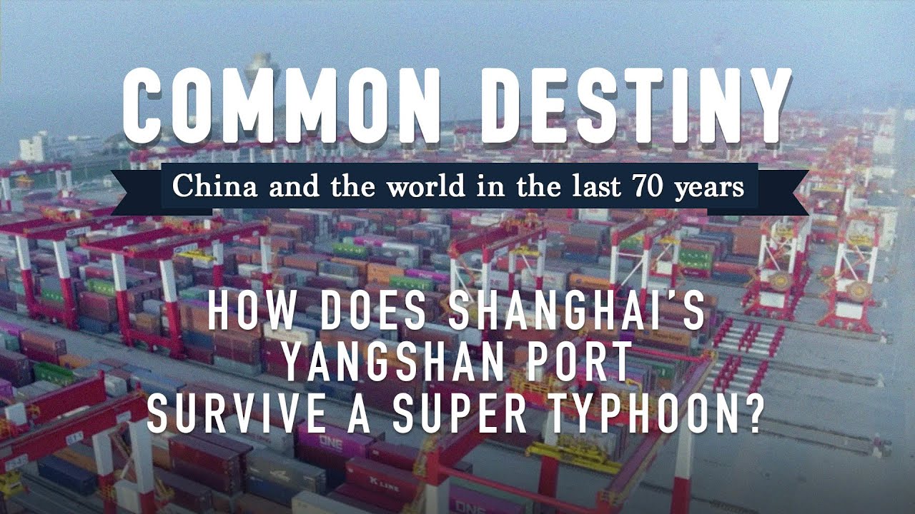 Common Destiny: How does Shanghai's Yangshan Port survive a super typhoon?
