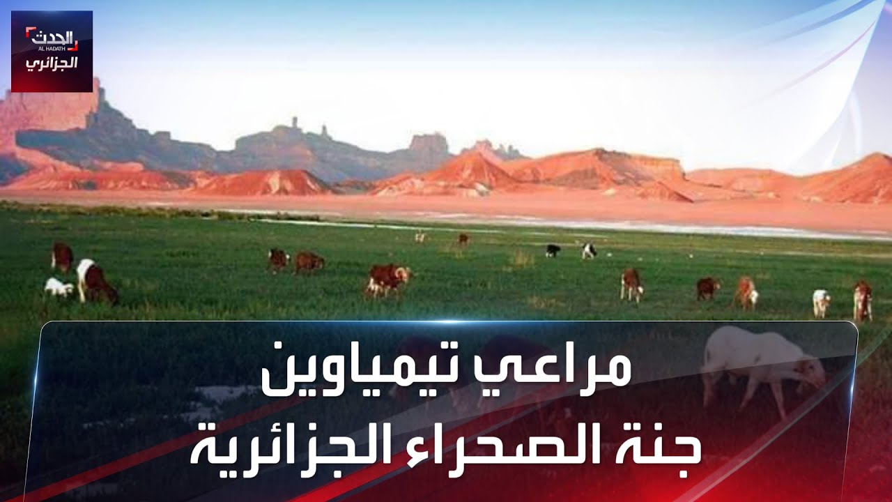 مراعي تيمياوين..جنة الصحراء الجزائرية