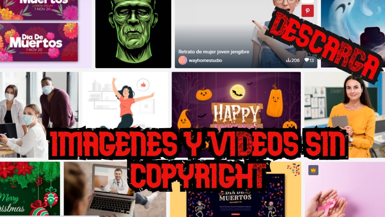 💯Mejores paginas para DESCARGAR im&aacute;genes y videos LIBRES✅ para INSTAGRAM, Facebook y YouTube