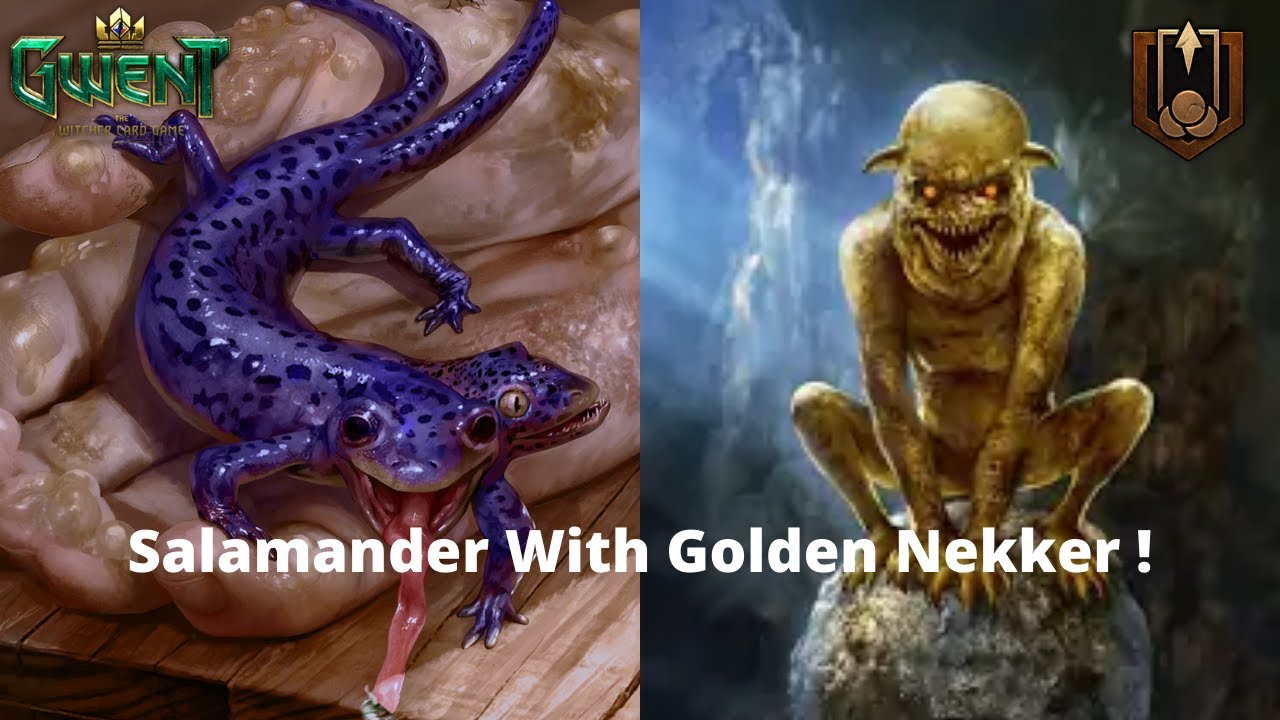 GWENT PRO RANK | Jackpot Salamander With Golden Nekker 10.4 |