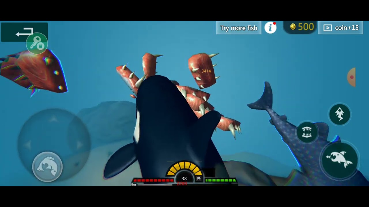 feed and grow fish mobile #5 playing as the orca and mako shark