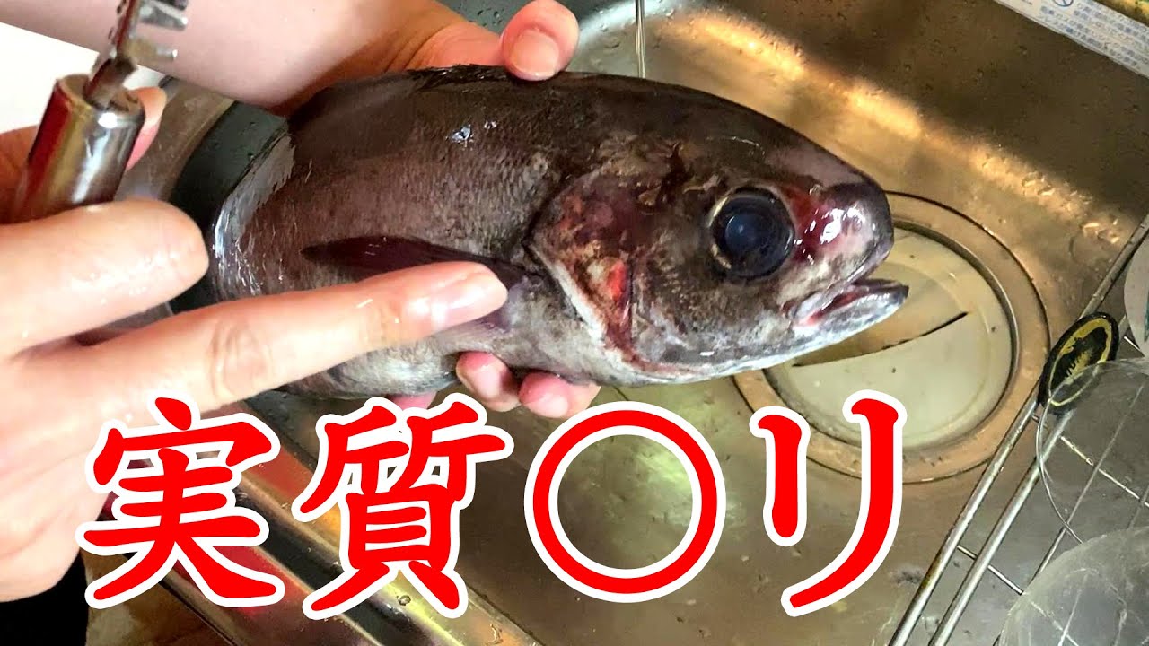 メダイを捌いて食べてみたらあの有名な魚と同じ味！？