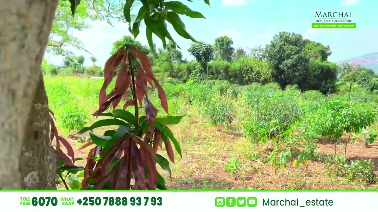 🚨 Reba #ISAMBU Nini Cyane (3,366m2) IGURISHWA Hano KIGALI - NYAMIRAMBO I Havamo #IBIBANZA Byinshi