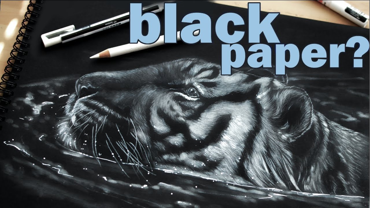 Drawing on BLACK PAPER!? *TIGER on Canson Mi-Teintes*!