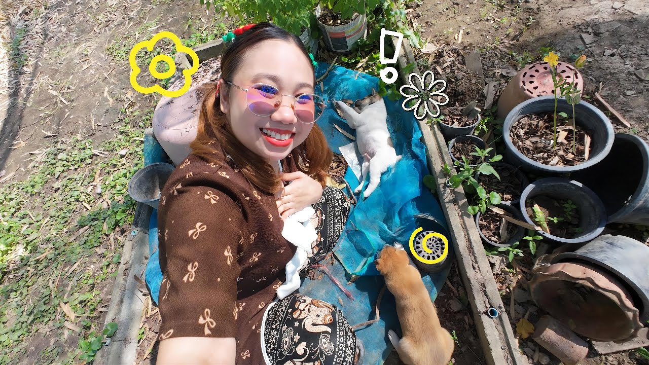 4K เล่นกับน้องหมา และ พับใบเตยใส่แจกันศาลพระภูมิ ศาลตายาย #งานฝีมือ #diy #cute #animals #ธรรมชาติ
