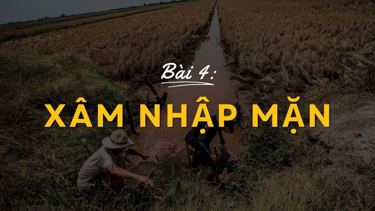BÀI 4: XÂM NHẬP MẶN