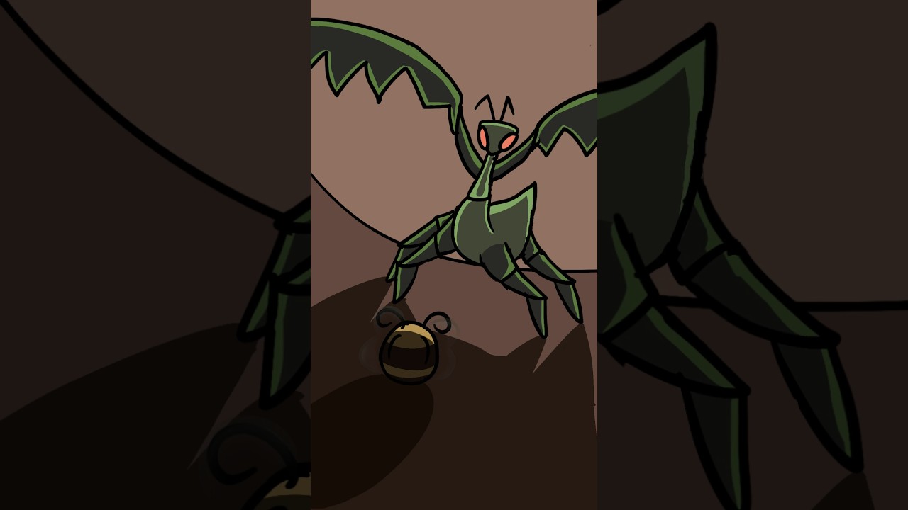 Bee has no enemies #animation #bee #framebyframe