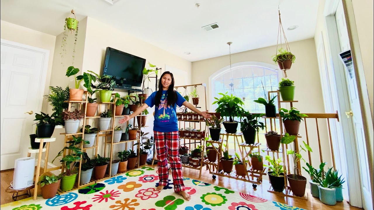 My Indoor Plants Collection itsmelaarni