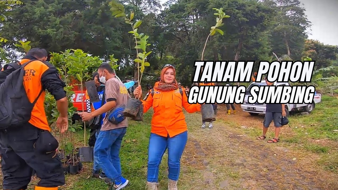 🔴 Aksi Hijau Tanam Pohon di Walitis Hutan Rasamala Gunung Sumbing | Explore Temanggung & GRI