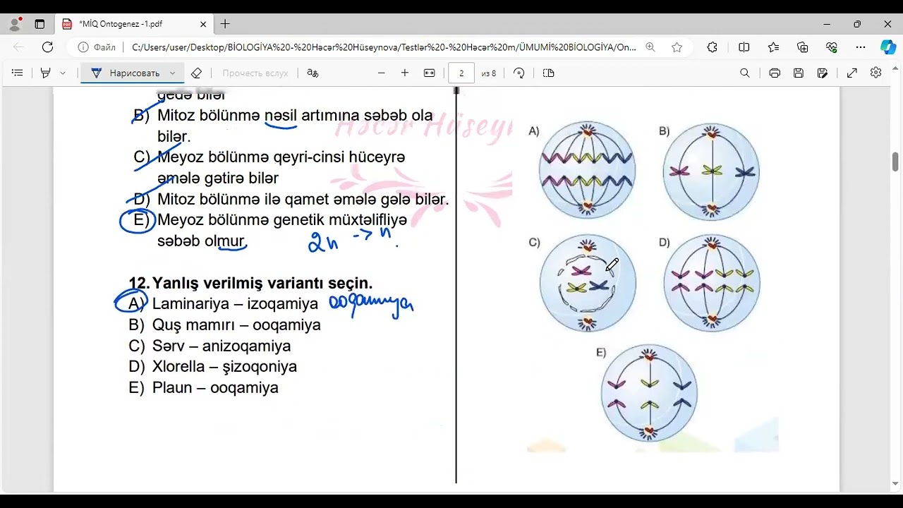 Ontogenez sınaq 1 izahı