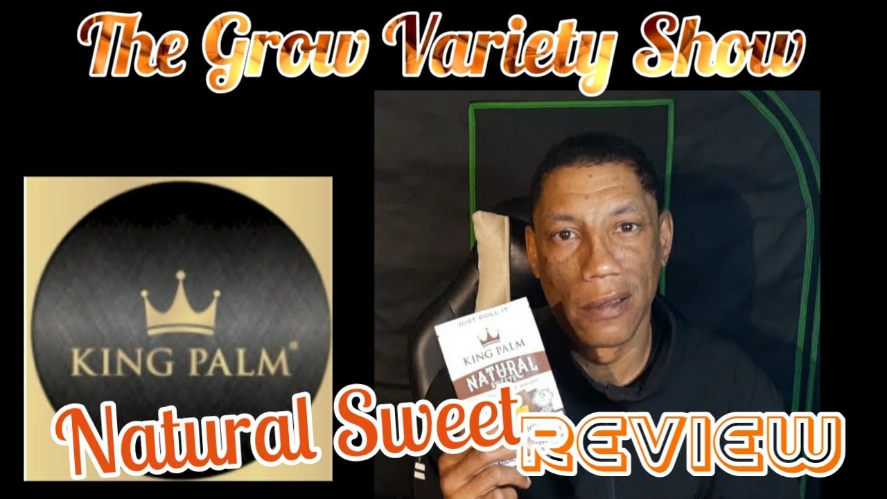 King Palm Natural Sweet Leaf Review (The Grow Variety Show ep.256)