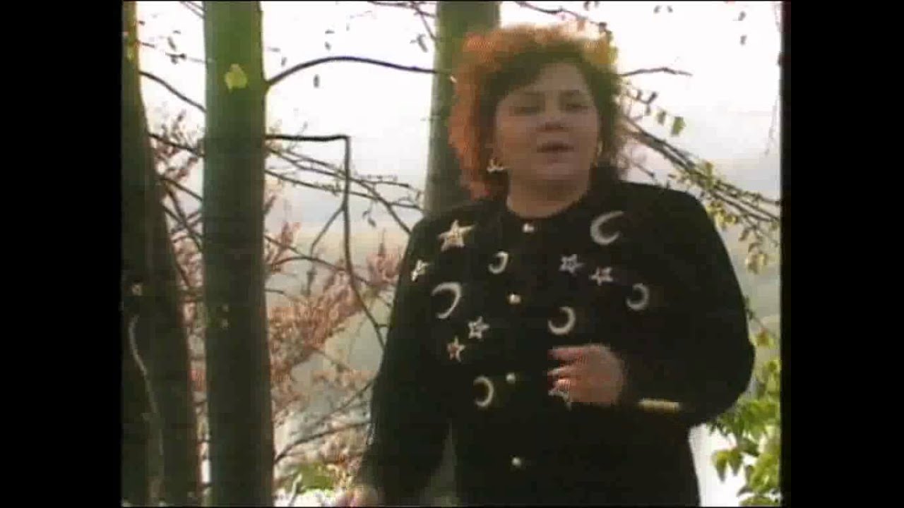 Vida Pavlovic - Kasno je za sve - (Official Video 1991)