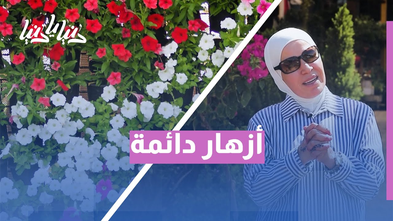 نباتات مزهرة طوال العام؟ إليك أجمل الخيارات لحديقتك في موسم الانتقال