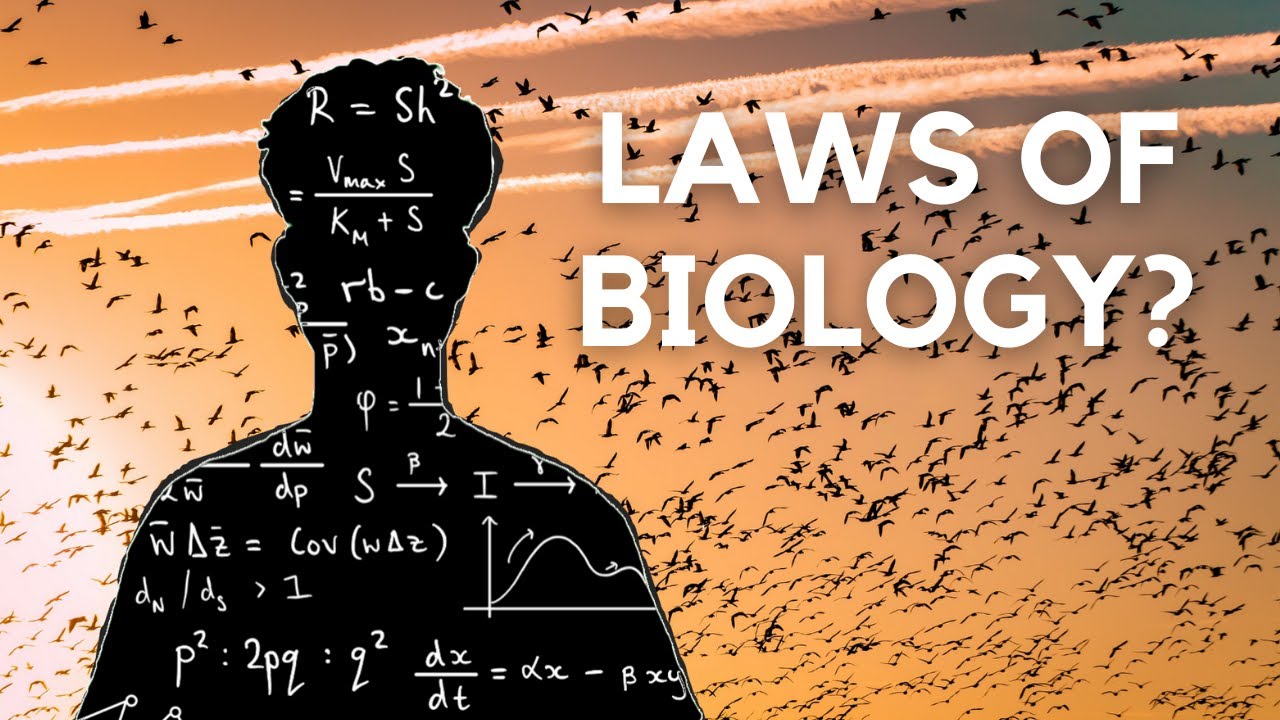 Is Life Mathematical?