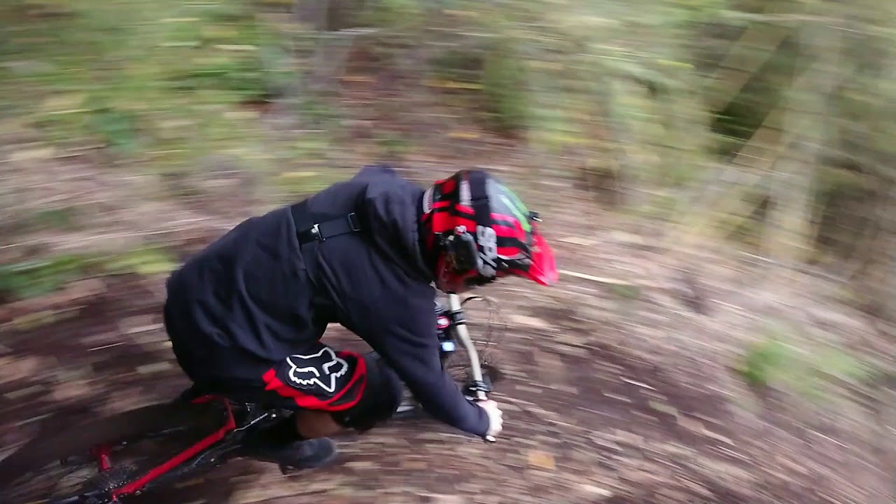 Dh Neltume 