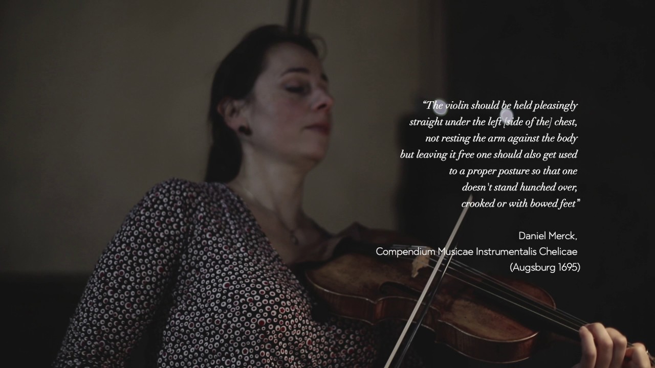 The Violin's Delight / P. Nikitassova