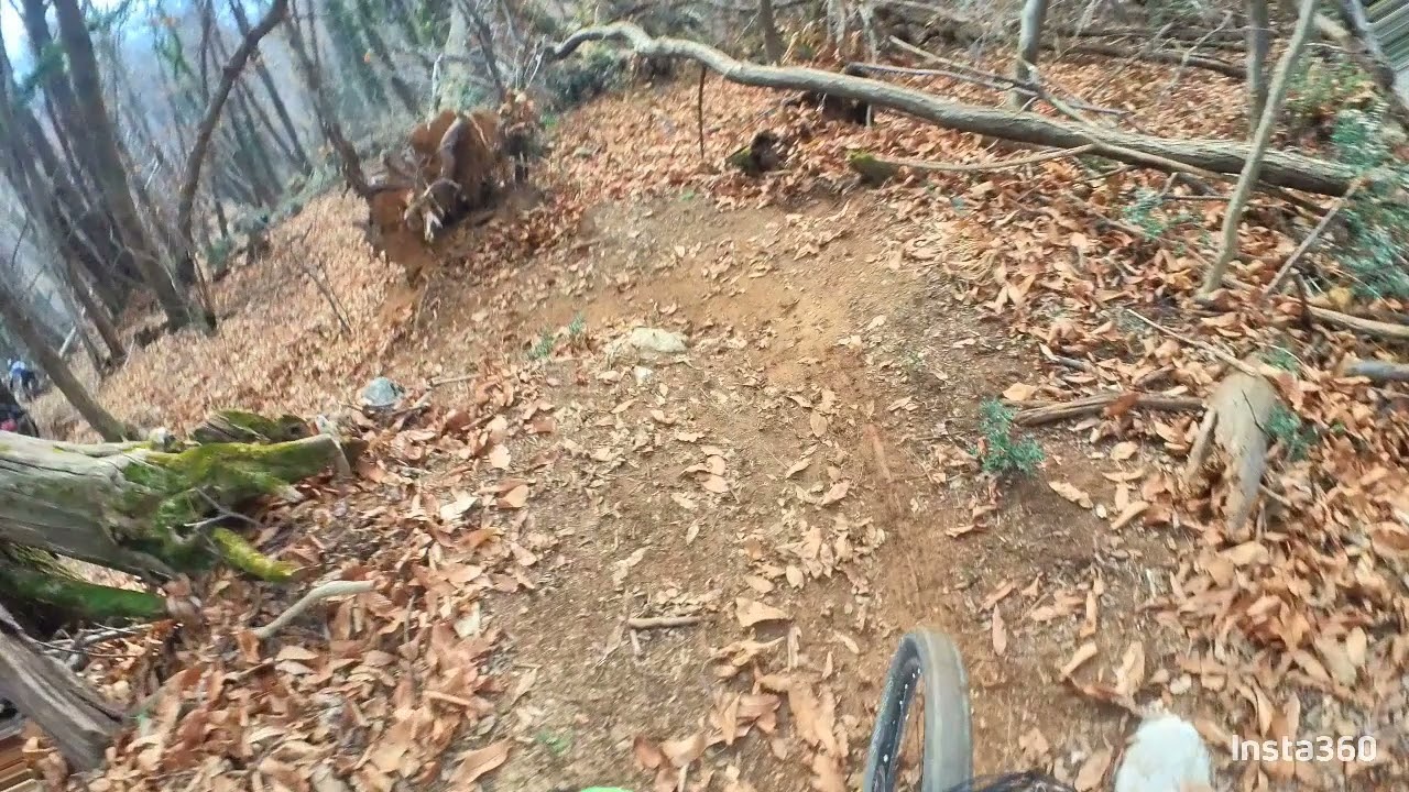 Mtb Aviano trails - Roccolo, Cinghiale, troi long, snake trail, rock garder
