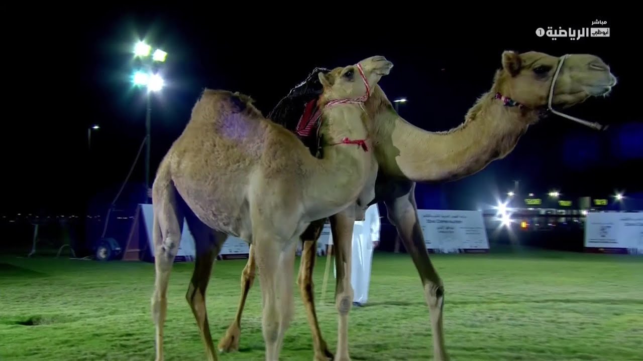 مزاد المجموعة العلمية المتقدمة - 8 مارس 2021 - الجزء 1