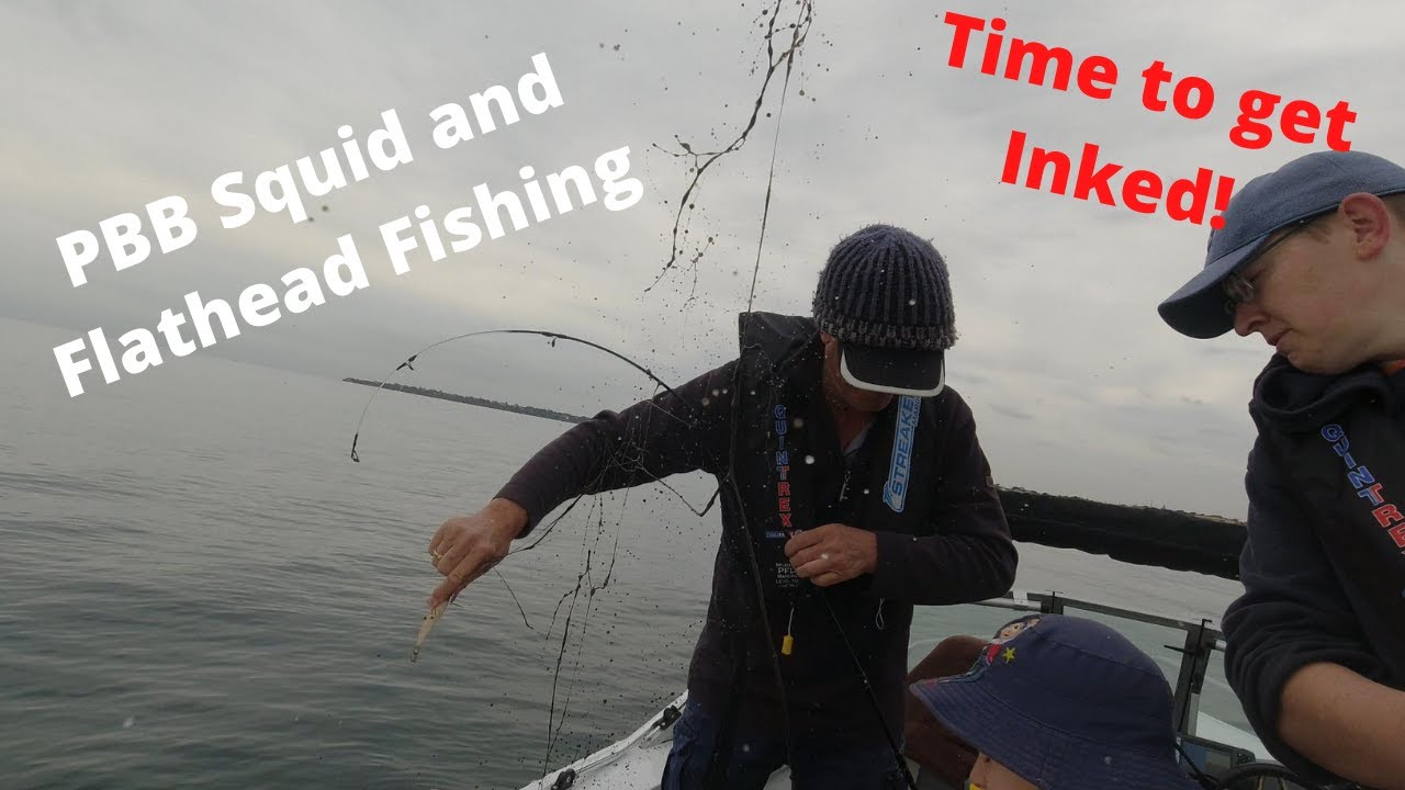 Quintrex Fishabout Pro 430 Loves the Flathead and Squid Fishing